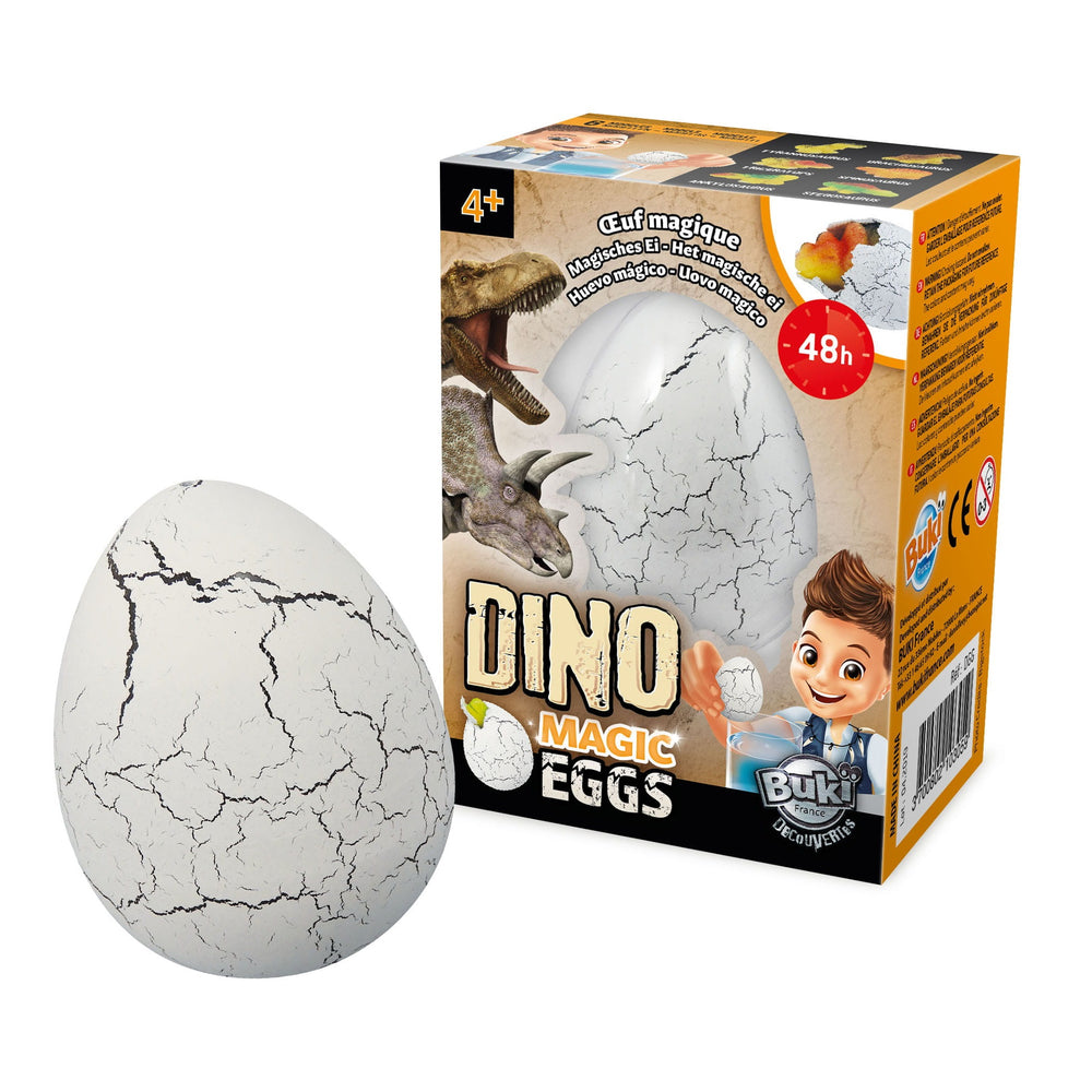 Das magische Dinosaurier-Ei