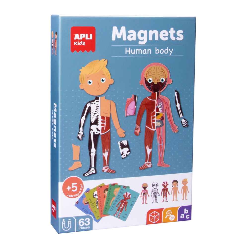 Magnetisches Puzzle – Der menschliche Körper