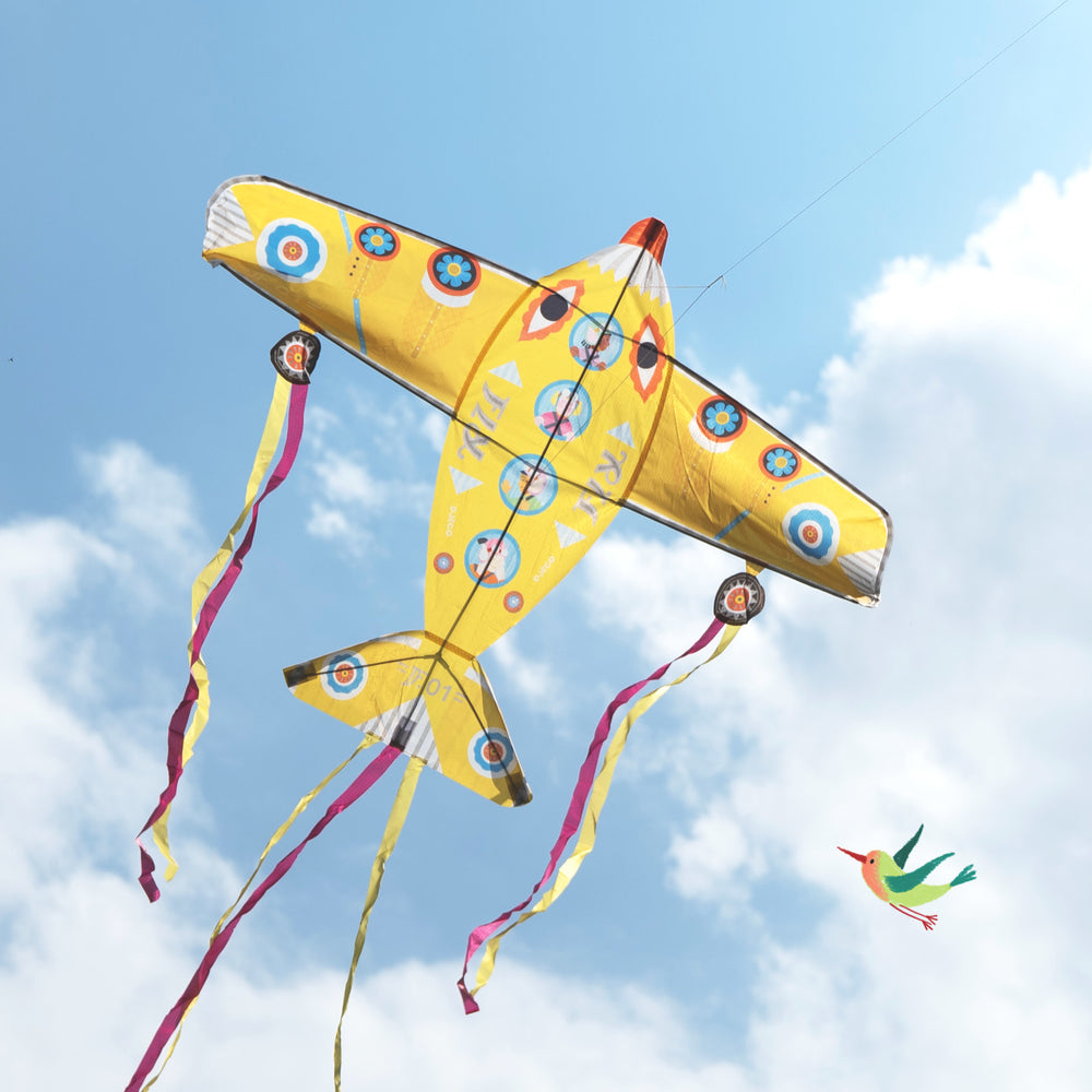 Drachen - Maxi Plane